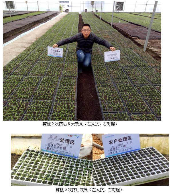 1513331693610298hzfK.png blob.png