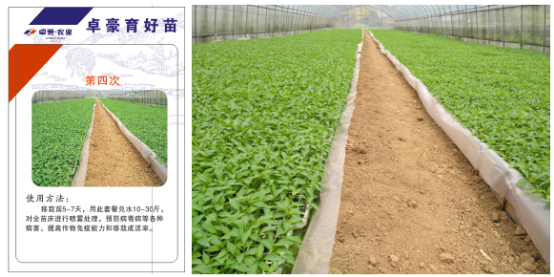 1515668213249309vaVC.png blob.png