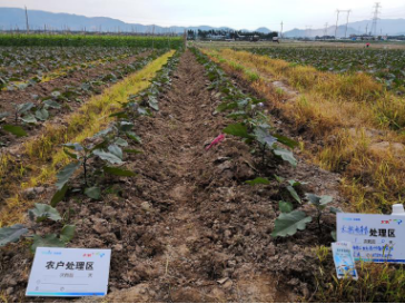 1515670030808395cCeh.png blob.png