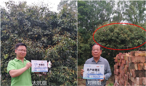 1527235645767214nxqn.png 圖片10_副本.png