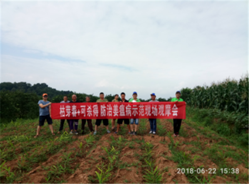 1531280738789489Pg81.png 圖片8.png